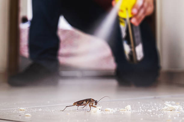 Wasp Removal Services in Mays Chapel, MD